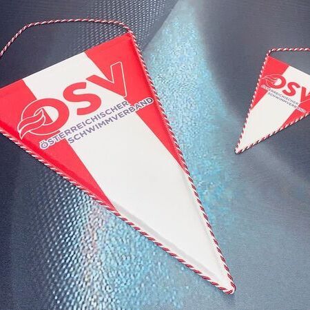 Clubwimpel/Übergabewimpel